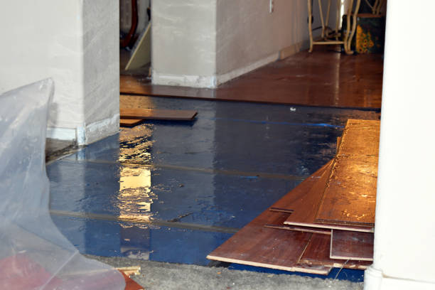 Professional Burst Pipe Cleanup technician working in Wentworth, NC